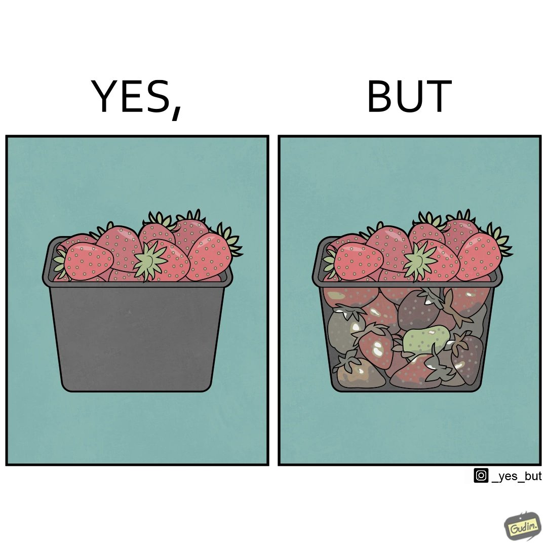 Yes, But (@_yesbut_) on Twitter photo 