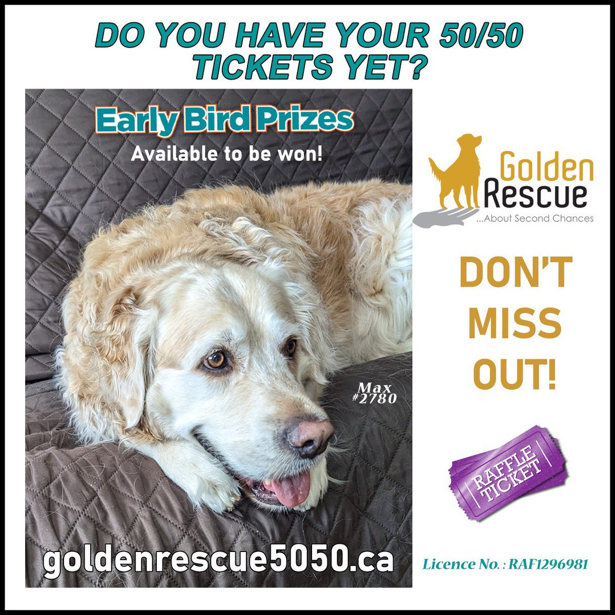 Our 50/50 Raffle is up and running! Don't miss out on some amazing Early Bird prizes and your chance to win the jackpot. Get your tickets today! Click on the link to learn more: goldenrescue5050.ca  
*open to Ontario residents only

#goldenretriever #rescuedog #tickets