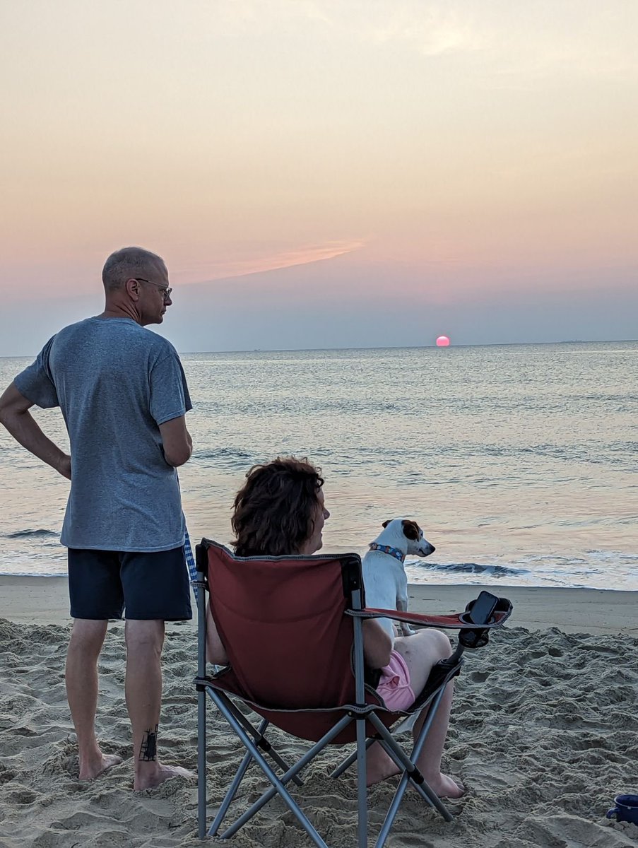 Stephanie Holt tweet media