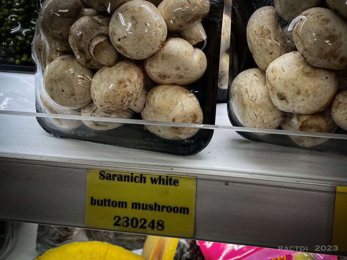 ractdi's tweet photo. #foodmart strikes again. Anyone for some tasty buttom mushrooms? https://t.co/Ae49RFG46m