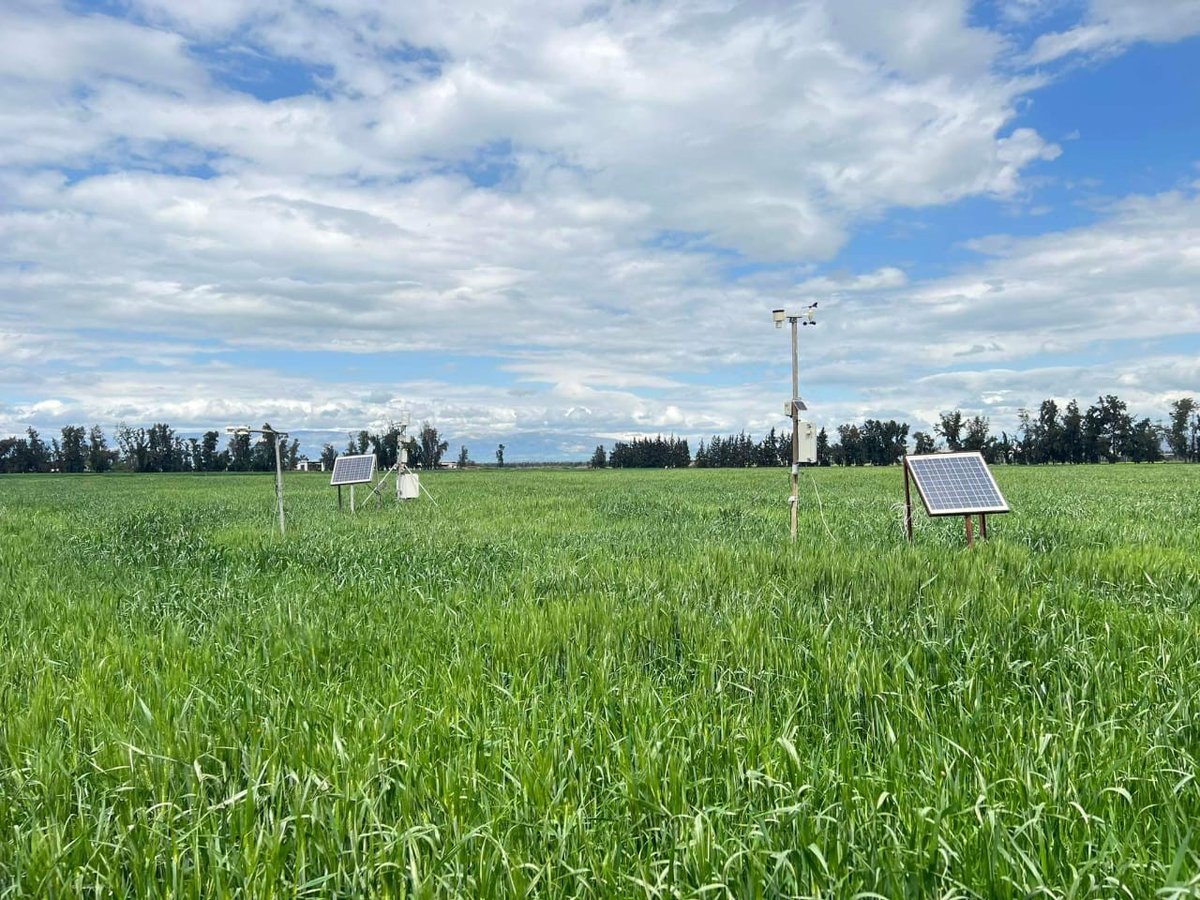 CgiarFarming's tweet photo. Have you read this article on Digital Solutions for Agriculture: A Step Towards Sustainable Water Management yet? Read here: https://t.co/UyLY9sDTfj https://t.co/Vt67NiAU39