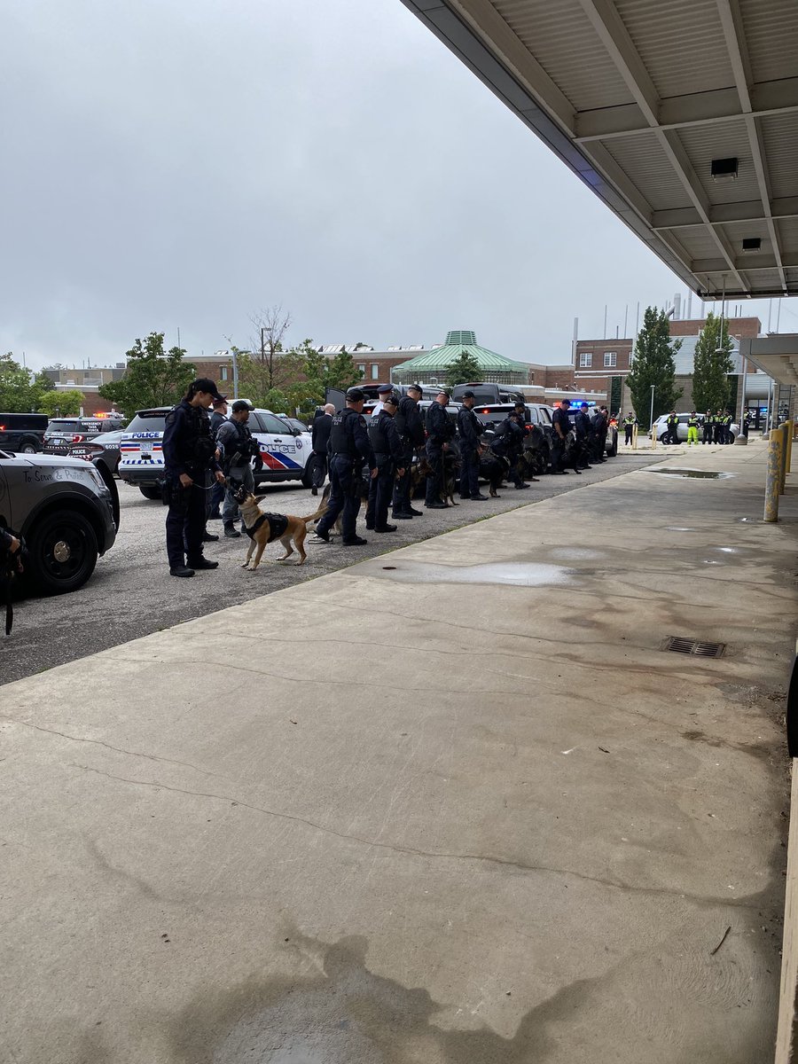 deadanimaldoc's tweet photo. Absolutely mad respect for all the police officers that came out as part of the honour guard to pay respects to their fallen canine comrade Bingo, who died in the line of duty on Tuesday.  It is one of the most powerful things I have ever witnessed. https://t.co/40J7XDaHF5