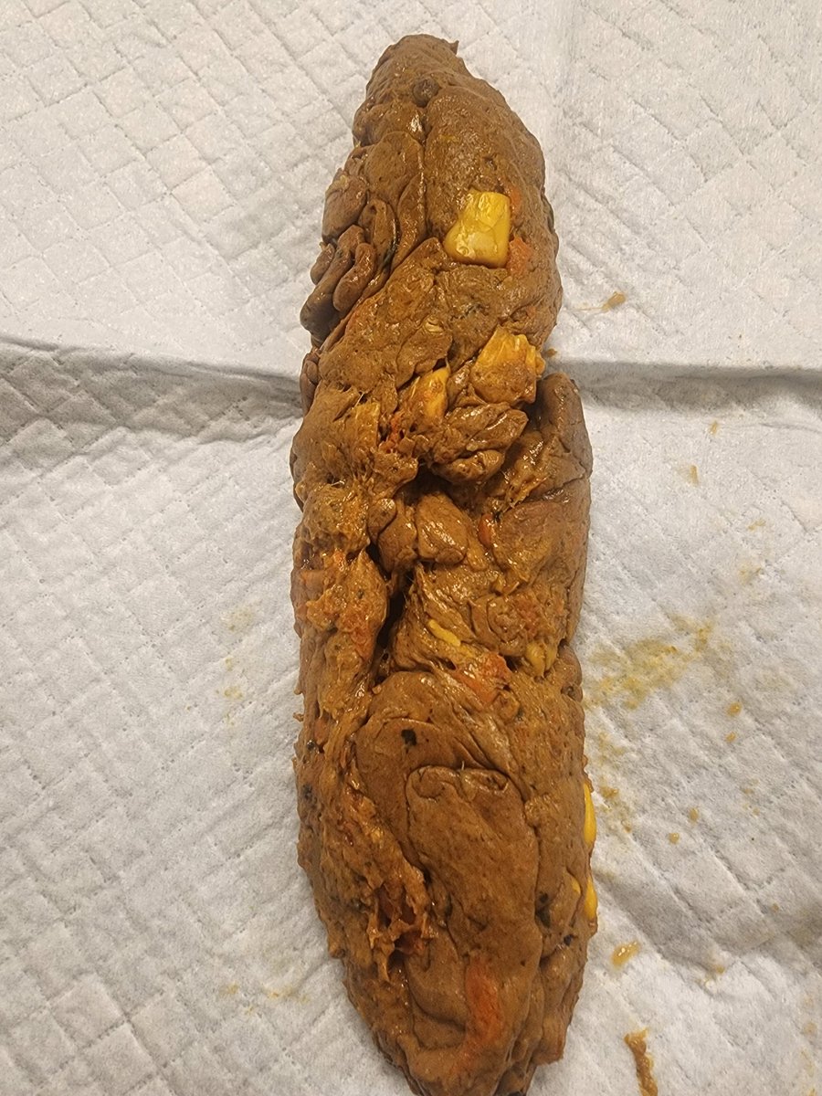 BEAUTYBUNNNYY's tweet photo. Corn & carrots scat
#scatfetish #cornpoop #gassy https://t.co/pbfytRtC2b