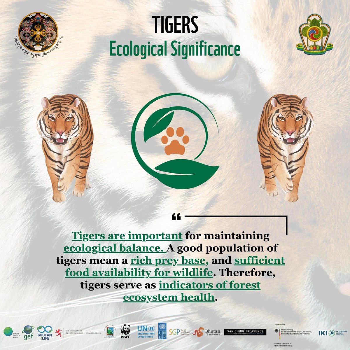 bhutanforlife's tweet photo. We are getting closer to the day the results of the fourth National Tiger Survey will be announced. Stay tuned!
#TigerConservation #ProtectWildlife
#BhutanTigerSurvey #Tigersalive #DoFPS #UNDP #GEF #BTFEC #SGP #WWF #BF #BFL #GCF https://t.co/phxINwUlXP