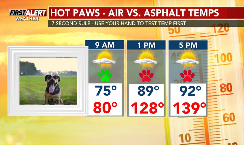 Chad_WSAW's tweet photo. Hot #PawsCast:
Today will be the hottest day of the year (so far) for #Wisconsin, with dangerous heat & humidity returning. While heat index values exceed 90Β°+ throughout the late morning hours, the temps for our furry friends will exceed 100Β° for most of the day! https://t.co/I3YEGLBkSV