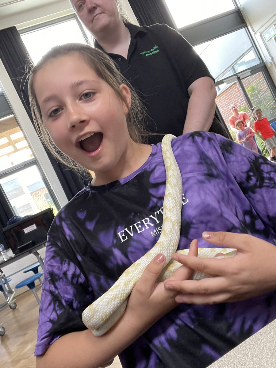 LSEATBBAO's tweet photo. It’s been a busy few days at BBAO summer camp. We had @TomsTalkingReps in yesterday to show us some of their reptiles including a rhinoceros iguana. 
Today we’ve built a polytunnel to store all the plants and herb we’ve planted this week. #bbao #semh #summerschool https://t.co/nszvsXeHqH