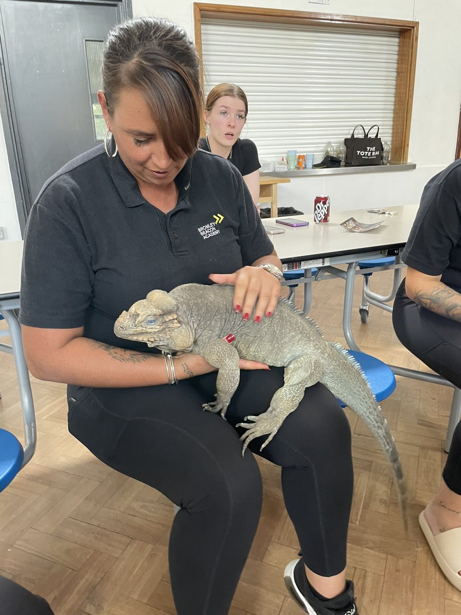 LSEATBBAO's tweet photo. It’s been a busy few days at BBAO summer camp. We had @TomsTalkingReps in yesterday to show us some of their reptiles including a rhinoceros iguana. 
Today we’ve built a polytunnel to store all the plants and herb we’ve planted this week. #bbao #semh #summerschool https://t.co/nszvsXeHqH
