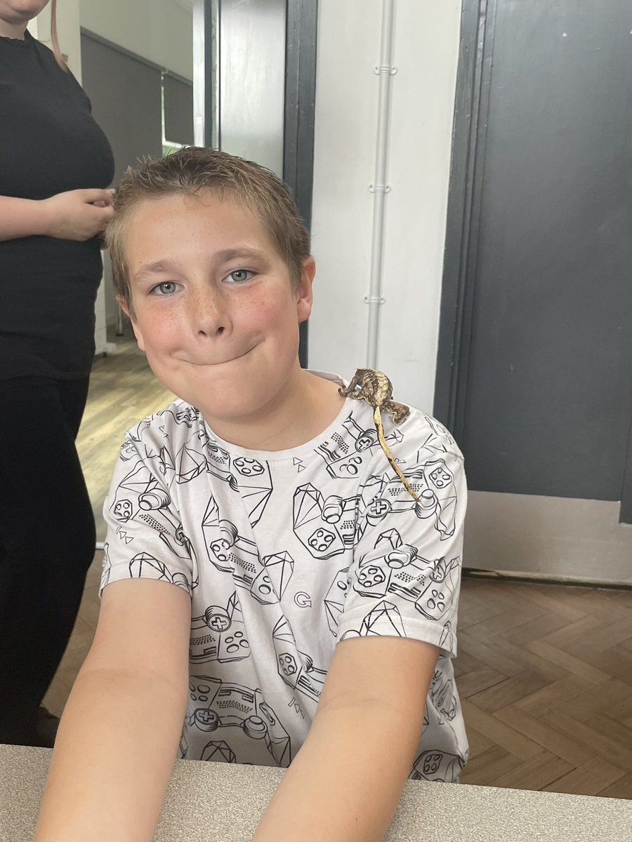 LSEATBBAO's tweet photo. It’s been a busy few days at BBAO summer camp. We had @TomsTalkingReps in yesterday to show us some of their reptiles including a rhinoceros iguana. 
Today we’ve built a polytunnel to store all the plants and herb we’ve planted this week. #bbao #semh #summerschool https://t.co/nszvsXeHqH