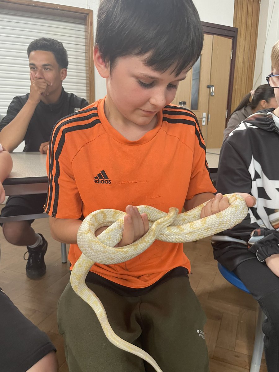 LSEATBBAO's tweet photo. It’s been a busy few days at BBAO summer camp. We had @TomsTalkingReps in yesterday to show us some of their reptiles including a rhinoceros iguana. 
Today we’ve built a polytunnel to store all the plants and herb we’ve planted this week. #bbao #semh #summerschool https://t.co/nszvsXeHqH