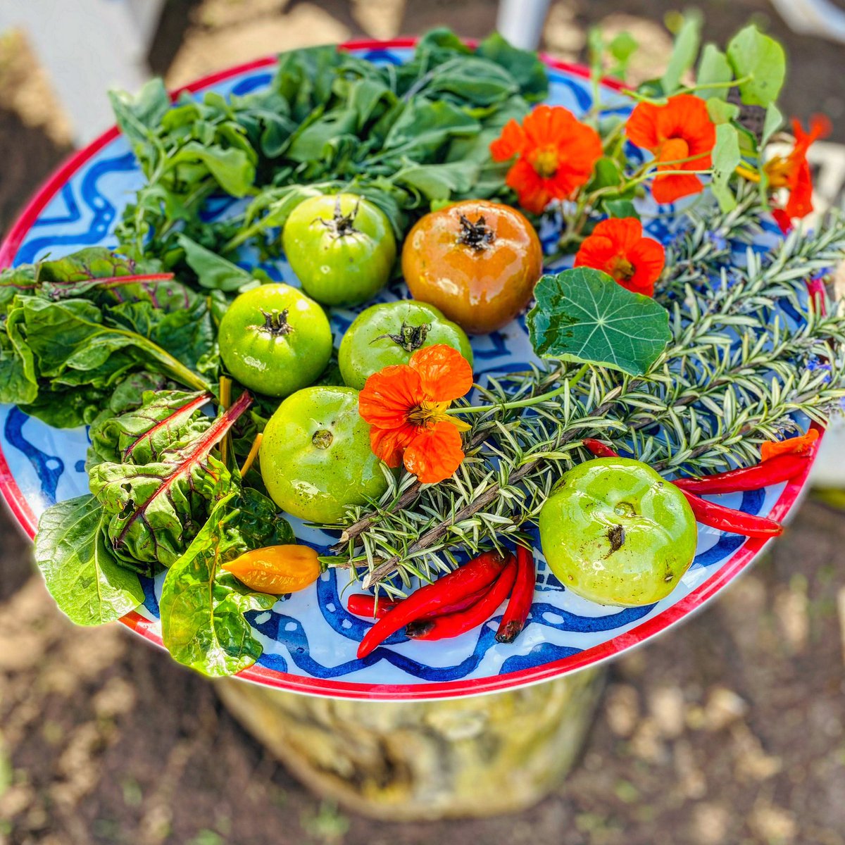 attheJumpRoom's tweet photo. Change an old inherited mindset from counting calories to making calories count! #stopdietculture #weightlosstips #power3 #Mindset #diet #loseweight #HealthyFood #Appreciation #plantbased https://t.co/6QET1j0p7F
