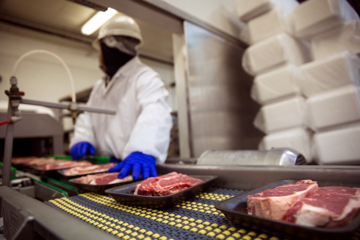 NASDAnews's tweet image. NASDA worked with @USDA to support meat processors throughout the pandemic, but now NASDA is focused on finding a sustainable workforce for the industry. Read how NASDA members are responding to the need for workforce development in the industry: nasda.org/sustainable-sk… #WorkInAg