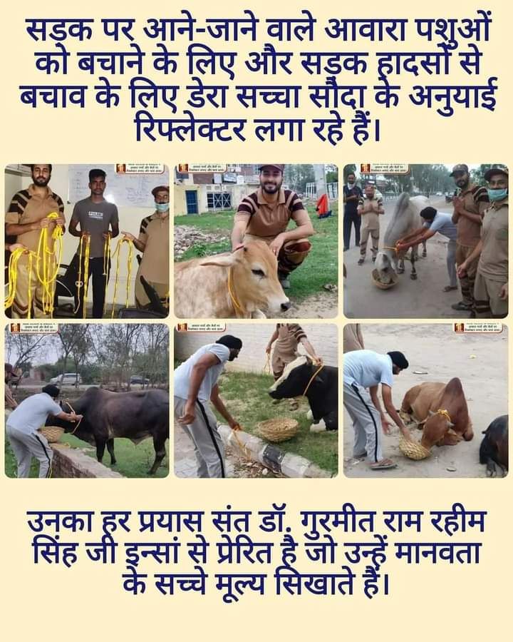 BalwanBalwan15's tweet photo. जानवरों को पीड़ित अवस्था में देखकर  उनकी सम्भव मदद करना ही इंसानियत है।डेरा सच्चा सौदा के अनुयायी जानवरों को आश्रय,भोजन और चिकित्सा संबधी देखभाल प्रदान करते हैं और Saint M S G की प्रेरणा से जानवरों के साथ अच्छा व्यवहार करने के लिए लोगों में जागरूकता भी फैलाते हैं 
#AnimalWelfare https://t.co/MOiVvFXEZa