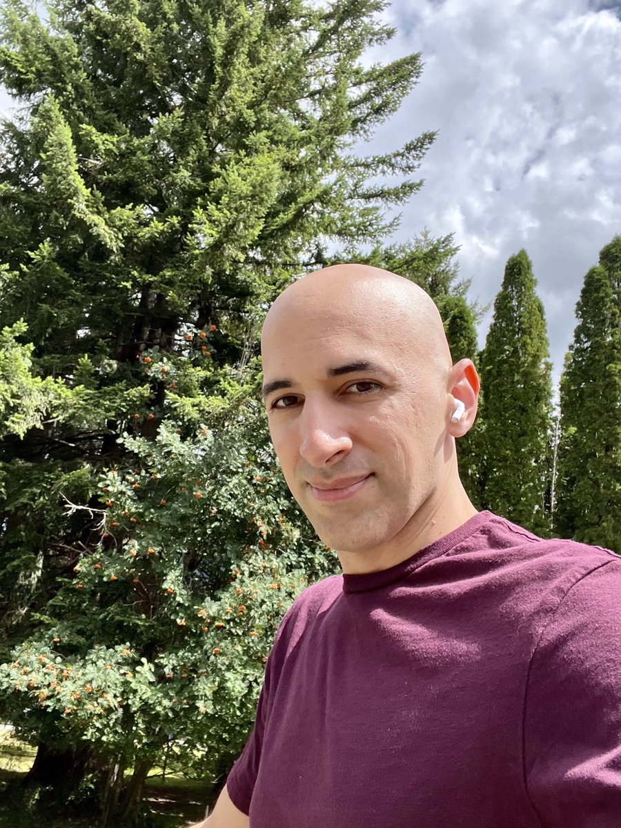 Daniel Vassallo tweet media