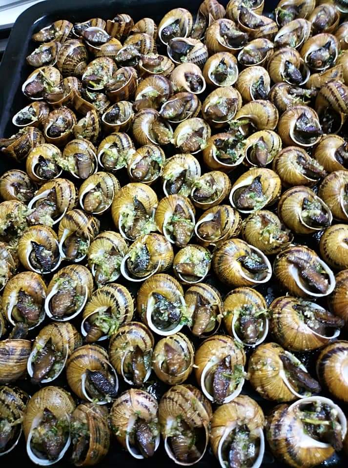 DelfinaMonfort's tweet photo. Caracoles a la llauna con alioli de mortero #exquisiteces😋 https://t.co/dekIPHF16N