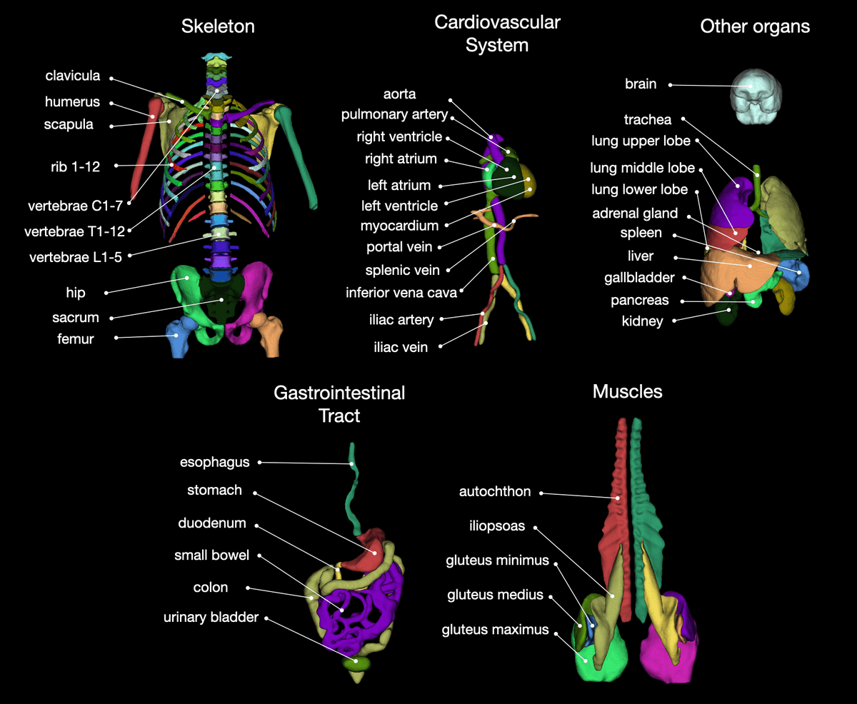 Martin Segeroth tweet media