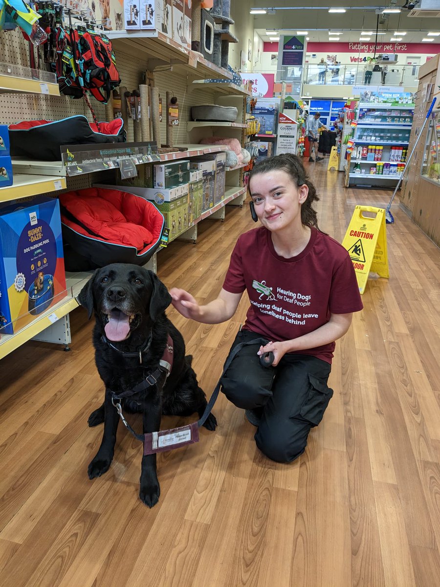 myhearingdog's tweet photo. Elton met Rosie from @PetsatHome in Braintree and said thank you raising money for @HearingDogs @VolTeamHDogs https://t.co/k8KiMHWOGy
