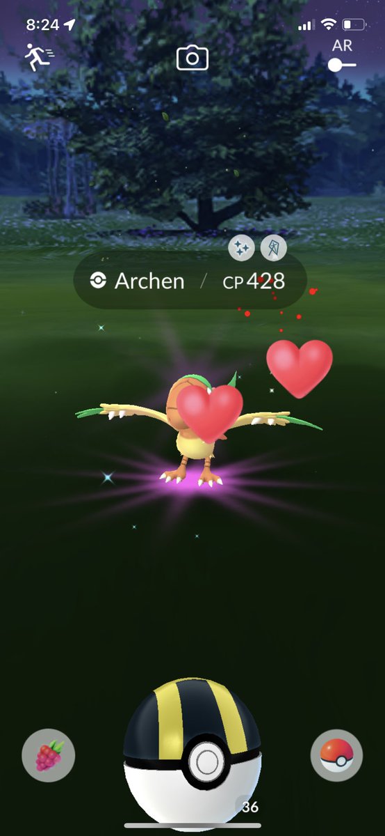 DarthCookie0's tweet photo. @ItsFleeceKing I managed to find a shiny archen today!! Super pumped https://t.co/w6JUcyxOdW
