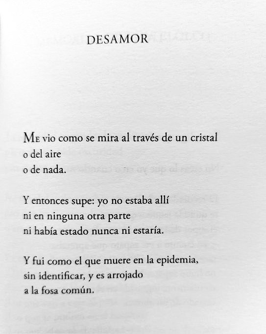 sombrajunguiana's tweet photo. rosario castellanos: https://t.co/c8i29blw0F