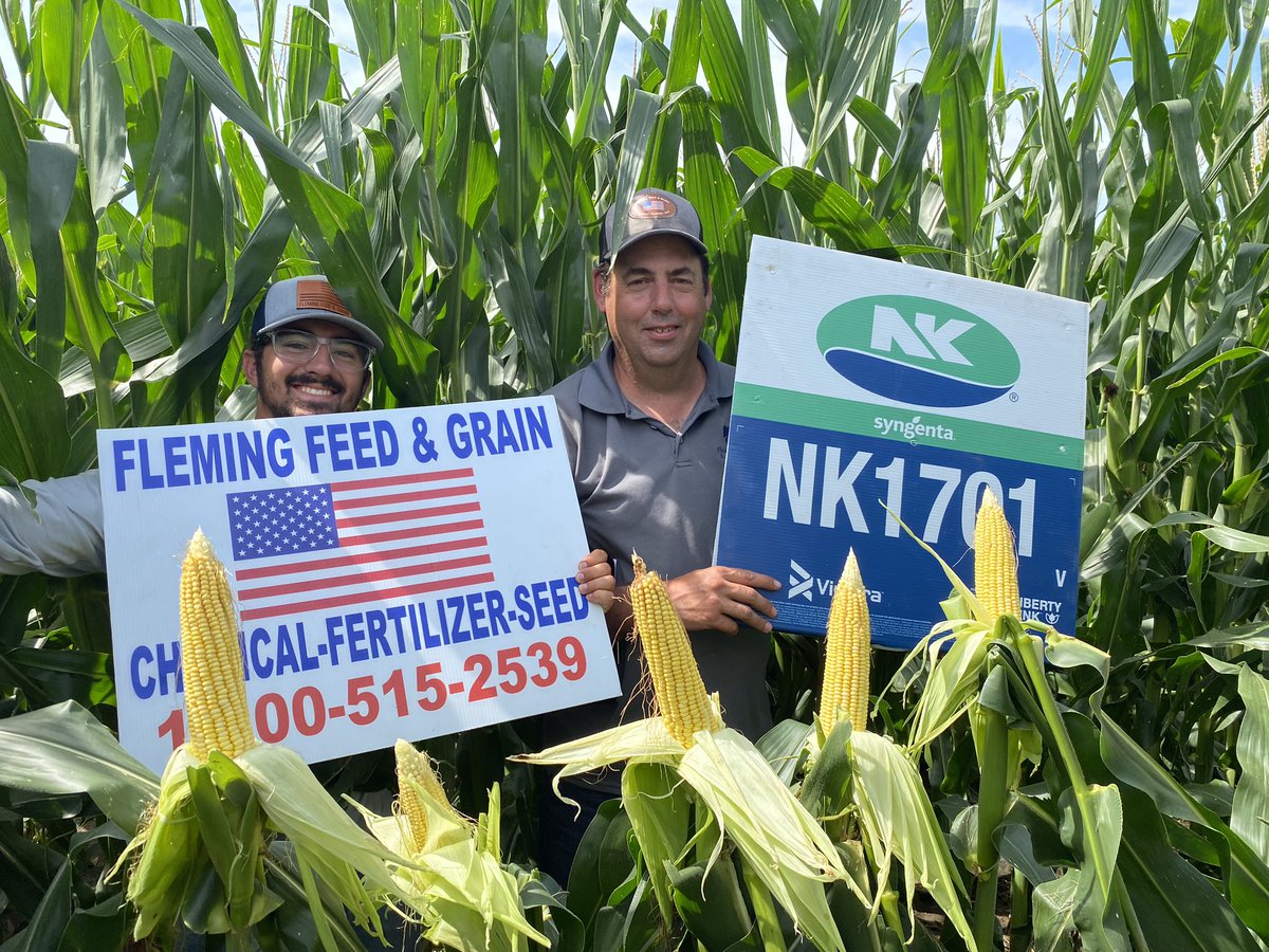 SCKSeedman's tweet photo. This is my favorite hybrid. Tassels early, extended grain fill, consistent yields and works across soil types. https://t.co/JjhoyZHRn8