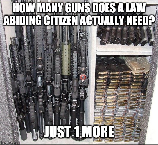 MidsouthShooter's tweet image. N+1 is the correct number, where N = current number of owned firearms. #simplemath #commoncore #2a #moreguns #justonemore #onemore #reload #ammunition #stockpile #law #abiding #citizen #justincase #loadyourown #midsouthshooters