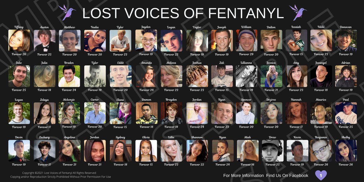 c0lettea's tweet photo. We are hosting our 3rd Annual National Rally and March to STOP FENTANYL POISONINGS on September 23, 2023 in Washington D.C. at the Washington Monument at 10 a.m. our victim banners will be on display and we have a great line up of speakers and entertainment.

Illicit fentanyl is an equal opportunity killer  

It does not care if you use drugs or not.  It does not care how old you are, what political party you support, what race you are, how rich or poor you are. what sexual preferences you have, what gender you are or where you come from.

Our children and loved one's are already gone, we can't help or save them.  

We are out here fighting and marching TO SAVE YOURS.

UNITE THE FIGHT AND JOIN US!