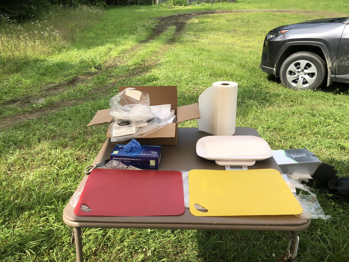 LibertyMe15's tweet image. Harvested meat bird’s this week! Freezer full and orders are done!! Lot of hard work but worth it to not be dependent on factory food system!
#FoodsovereigntyIsLife 
#Foodsovereign 
#Homestead
#Libertarian