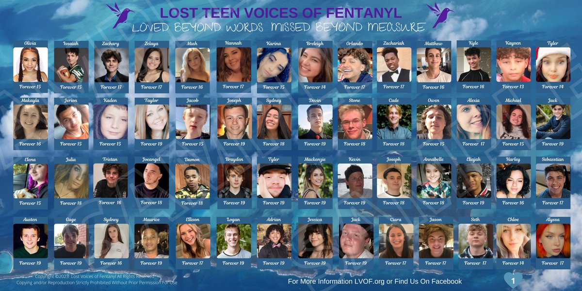 c0lettea's tweet photo. We are hosting our 3rd Annual National Rally and March to STOP FENTANYL POISONINGS on September 23, 2023 in Washington D.C. at the Washington Monument at 10 a.m. our victim banners will be on display and we have a great line up of speakers and entertainment.

Illicit fentanyl is an equal opportunity killer  

It does not care if you use drugs or not.  It does not care how old you are, what political party you support, what race you are, how rich or poor you are. what sexual preferences you have, what gender you are or where you come from.

Our children and loved one's are already gone, we can't help or save them.  

We are out here fighting and marching TO SAVE YOURS.

UNITE THE FIGHT AND JOIN US!