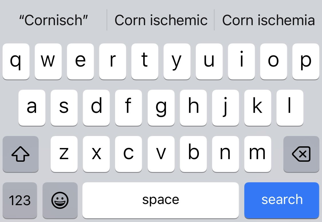 Extremely niche tweet. Was trying to add cornichons to the grocery order and with an extra S got the iOS suggestion of “corn ischemia”.