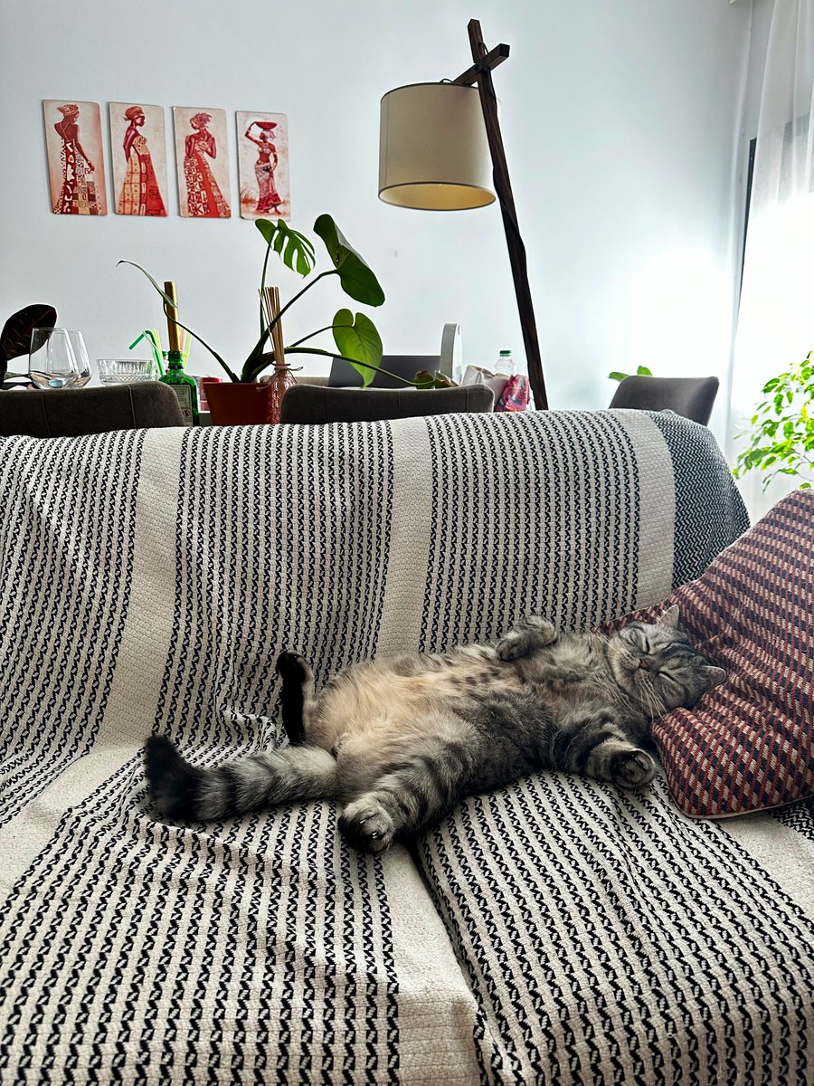 Maria_Key's tweet photo. Работник месяца https://t.co/Ik8nhLDanc
