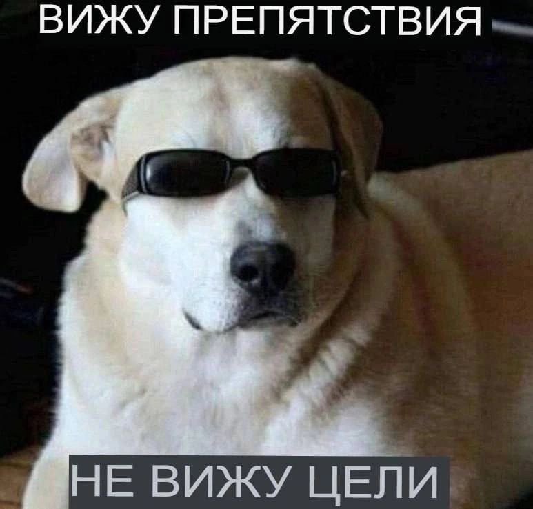 Barking News (@50pets) on Twitter photo 