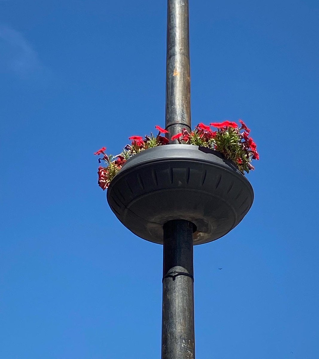 sky7_es's tweet photo. 💡¿Sabíais que disponemos de 3 modelos de maceteros para farola? 👏🏻 Eso es, dependiendo del diámetro de la farola, os recomendaremos o bien el modelo MF600 o el MF750 o bien el MF900 😉

Entregas en toda España 🚚🇪🇸

#sky7españa #macetasexterior #macetasfarola #macetasjardin https://t.co/fVWwc6YGow
