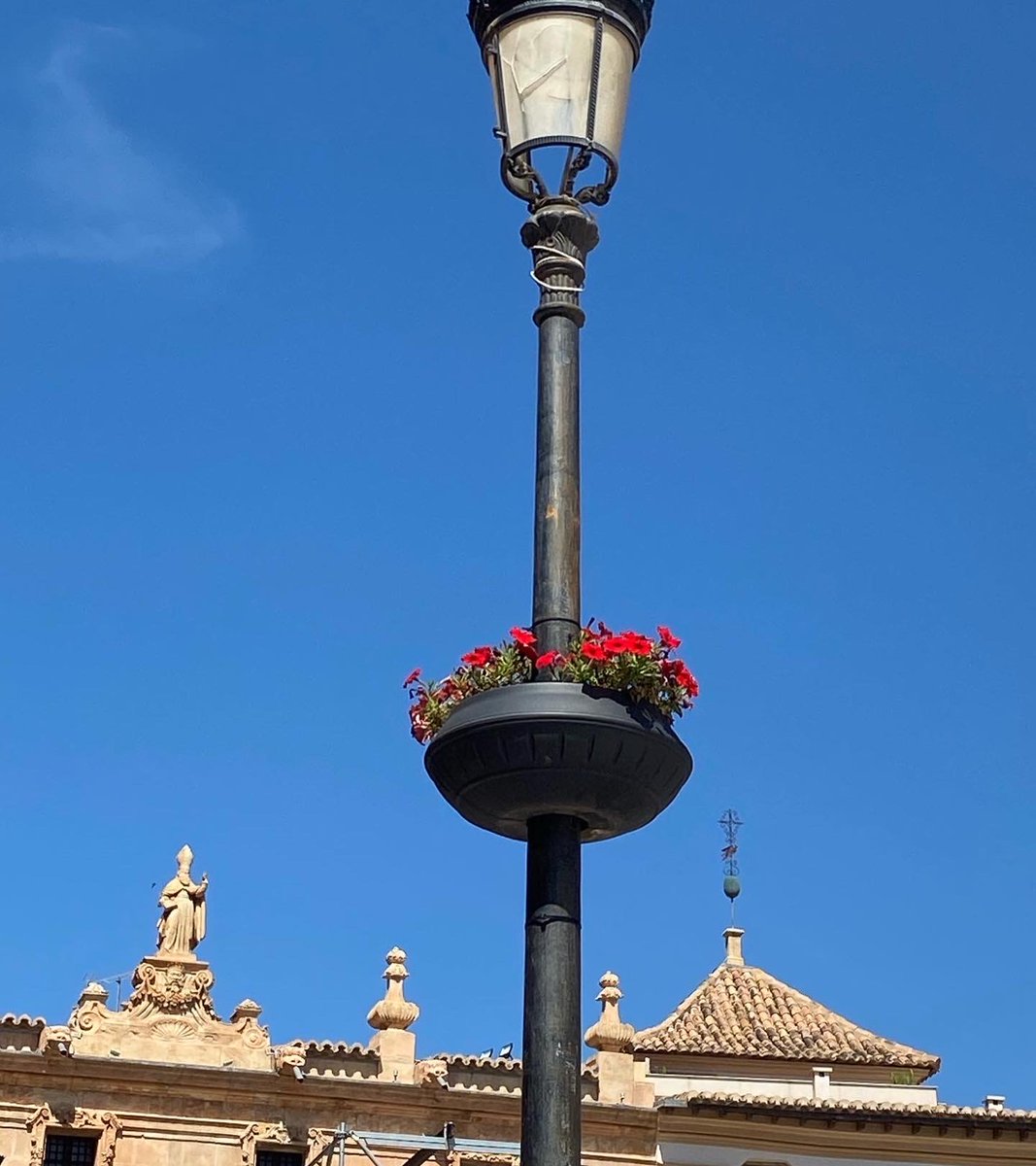 sky7_es's tweet photo. 💡¿Sabíais que disponemos de 3 modelos de maceteros para farola? 👏🏻 Eso es, dependiendo del diámetro de la farola, os recomendaremos o bien el modelo MF600 o el MF750 o bien el MF900 😉

Entregas en toda España 🚚🇪🇸

#sky7españa #macetasexterior #macetasfarola #macetasjardin https://t.co/fVWwc6YGow