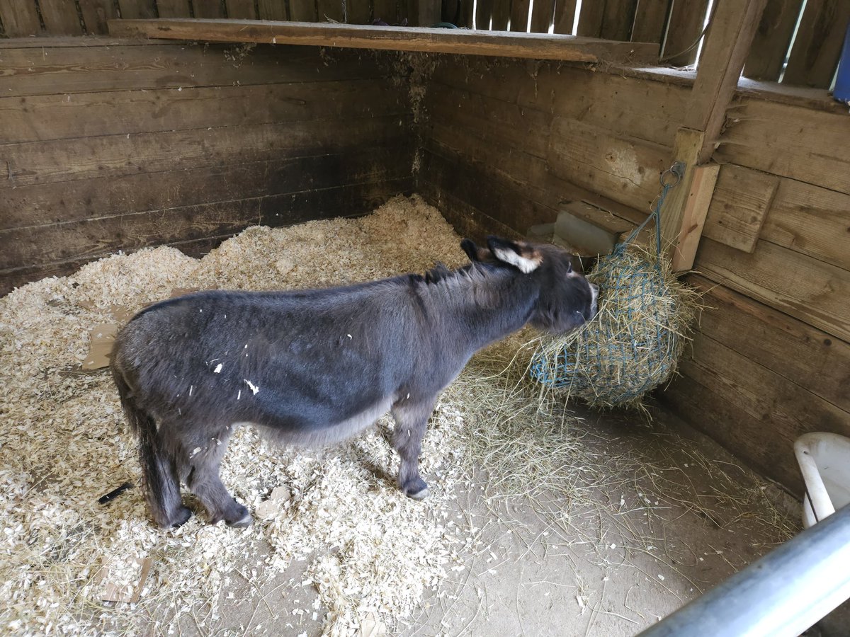 Dylan Duff tweet media