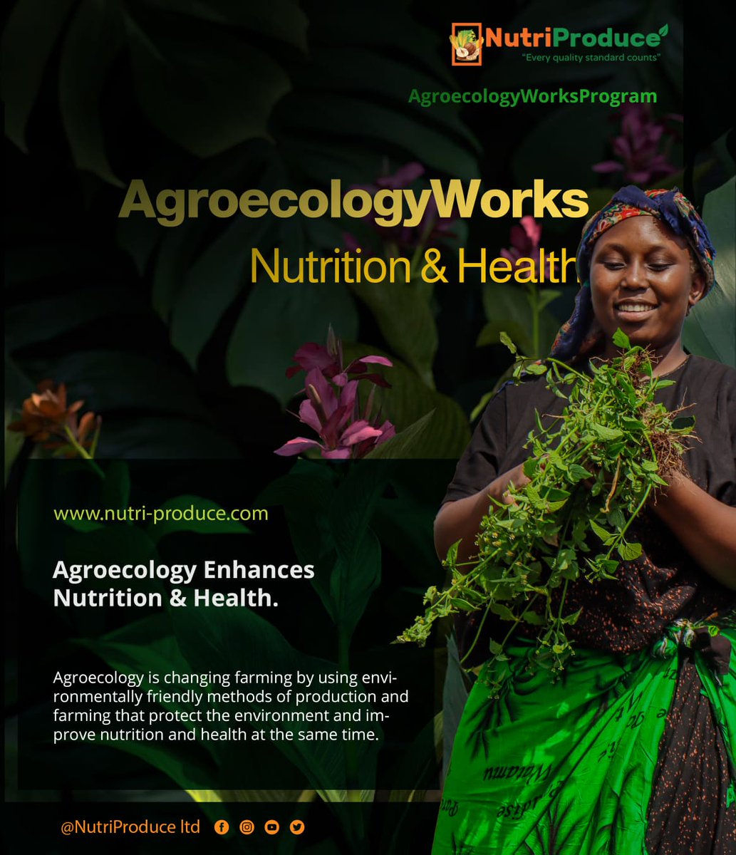 #AgroecologyWorks
🥕🌽🥦🍍🫒🥬🫛

#Agroecology's emphasis on #sustainable, #diverse, and #community-oriented #farming practices leads to improved #nutrition and health outcomes for both individuals and the environment. By fostering #biodiversity, supporting local communities, and…