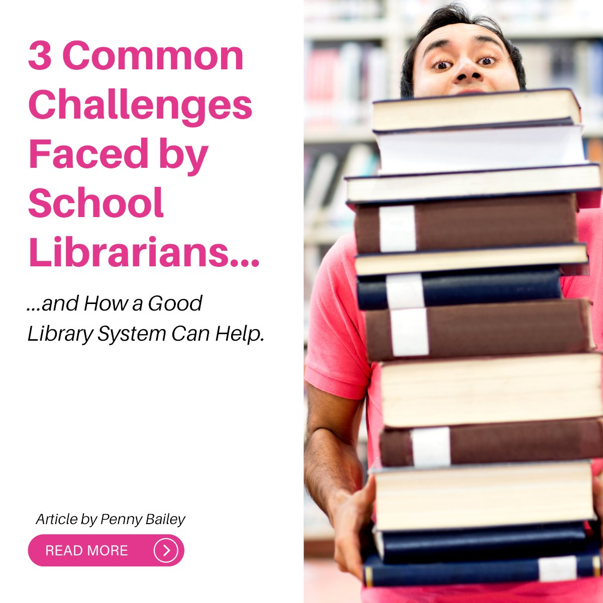 Simple Little Library System tweet media