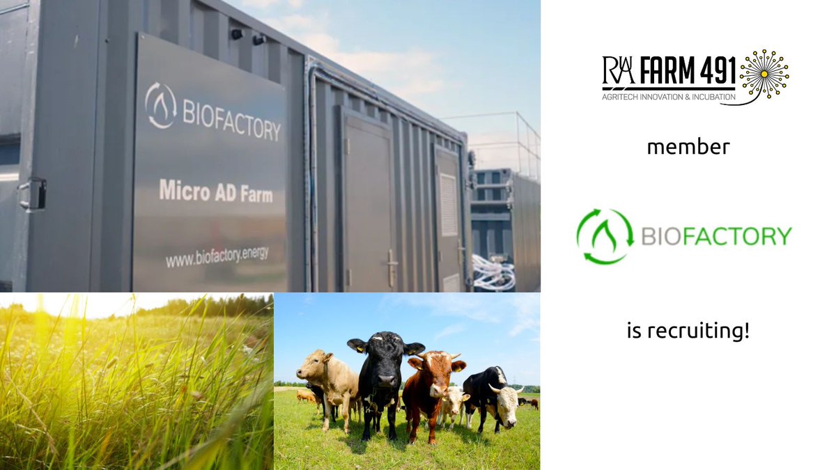 Farm491's tweet image. Farm 491 member @BioFactory_  is expanding and looking for a well-rounded, versatile, and passionate graduate engineer to support their small team as they grow.

Read more and apply following this link: farm491.com/jobs-board/688…