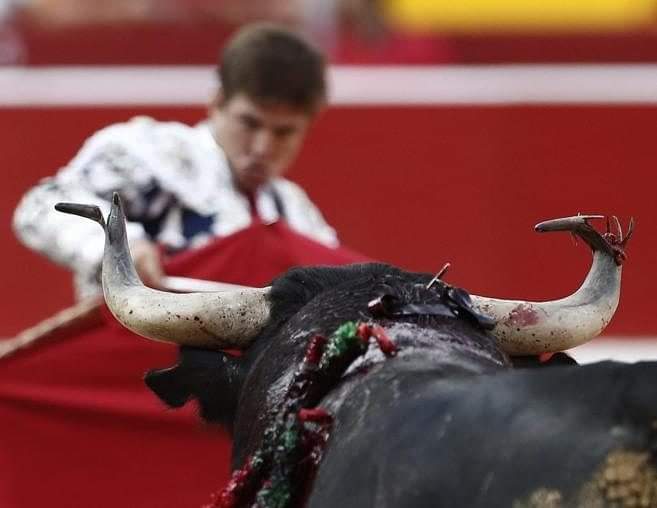 Se va El Juli, el torero del julipié, de la distancia de seguridad, del monoencaste y de la normalización del fraude del afeitado.Otro, al que igual que Ponce, no echaremos de menos.