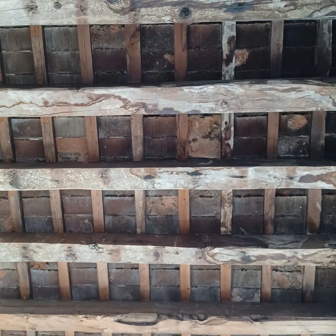 Forjat format per bigues de fusta. Sostre de l'estació històrica del ferrocarril de Sant Feliu de Llobregat. 1854, segle XIX.

#patrimoni #jovullunareplica #santfeliu