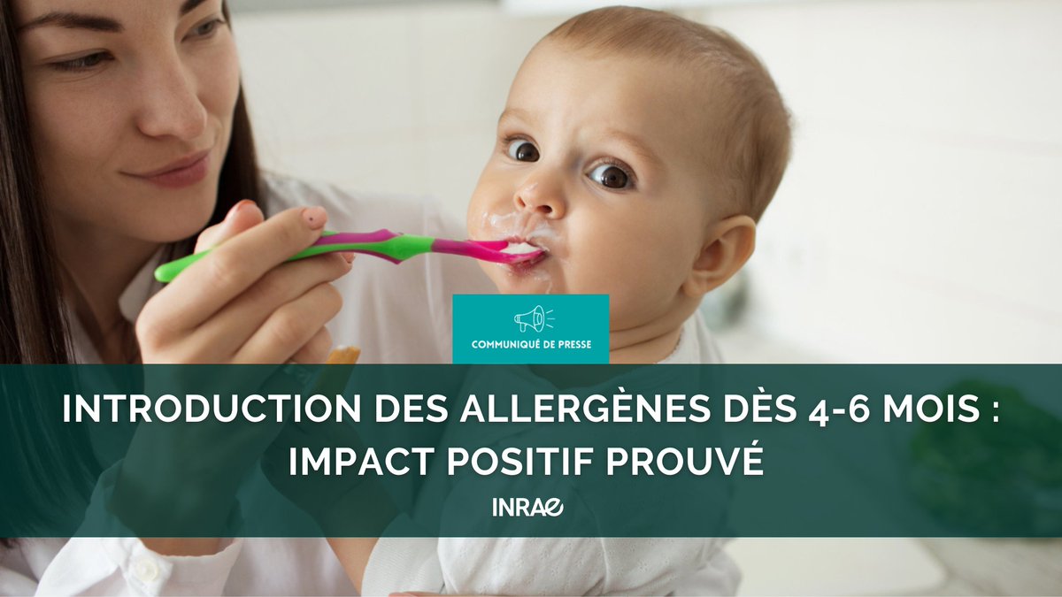 #RP_INRAE👶Risque d’allergie alimentaire lié à une introduction tardive d’allergènes dans l’alimentation des jeunes enfants
📈1 enfant sur 10 qui n’a jamais goûté à 2 allergènes majeurs à 10 mois = 1 risque 2X plus élevé d'être allergique avant 6 ans !
📰url.inrae.fr/3Y88c3S