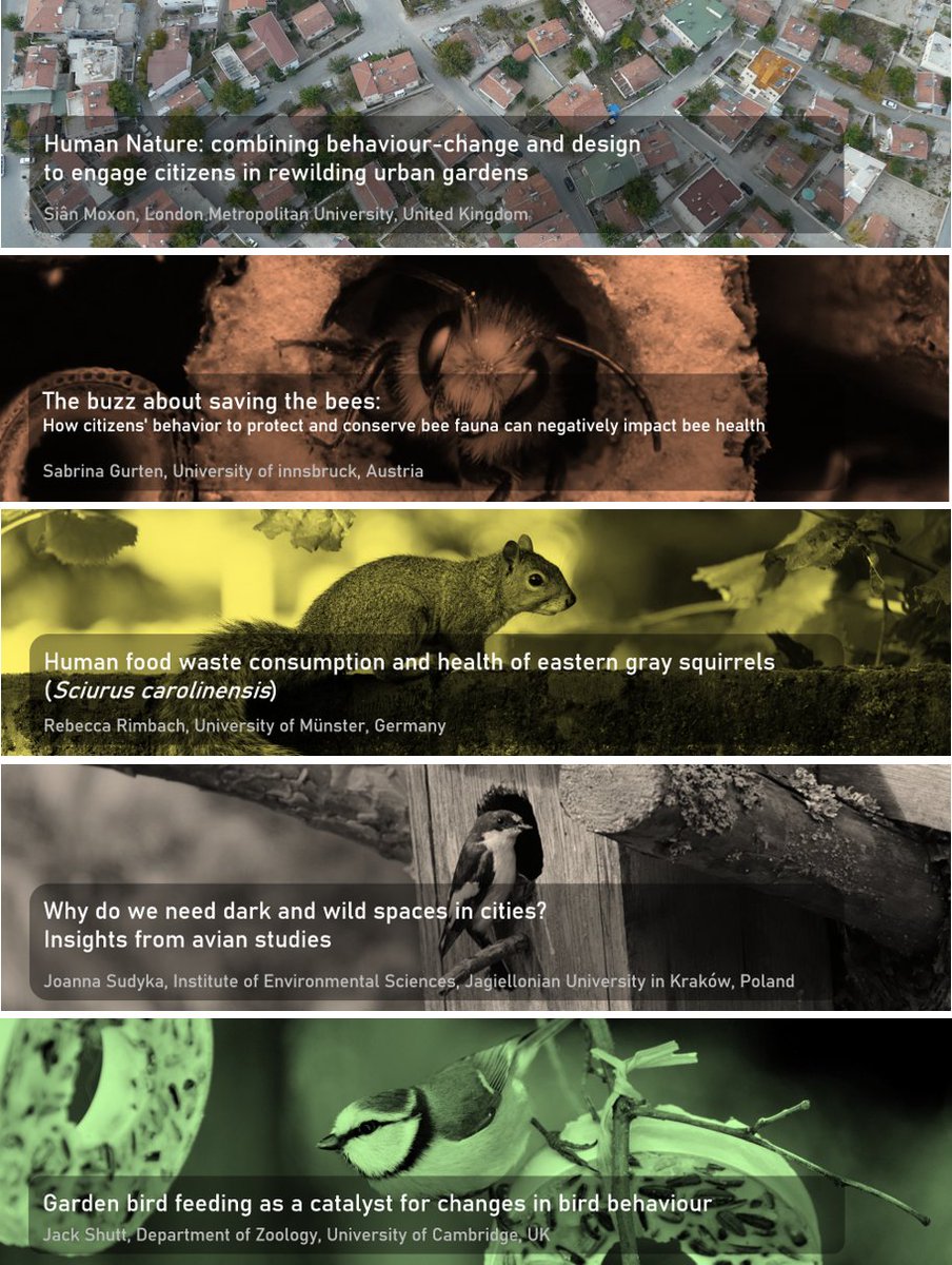 Marion Chatelain tweet media