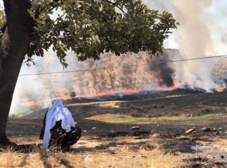 egitimsen21's tweet photo. Cudi'den Akbelen'e doğamızdan, suyumuzdan, kurdun- kuşun yuvasından ellerinizi çekin.! https://t.co/3yx59qbp6h