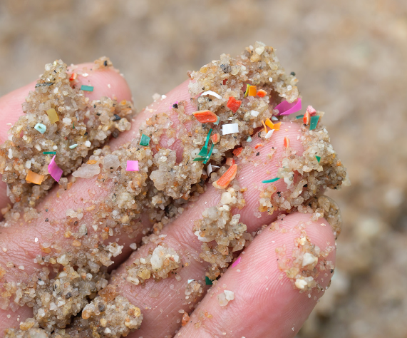 There is a nice more popular PNAS article about microplastics and its potentially harmful effects.
have fun reading it: pnas.org/doi/epdf/10.10…