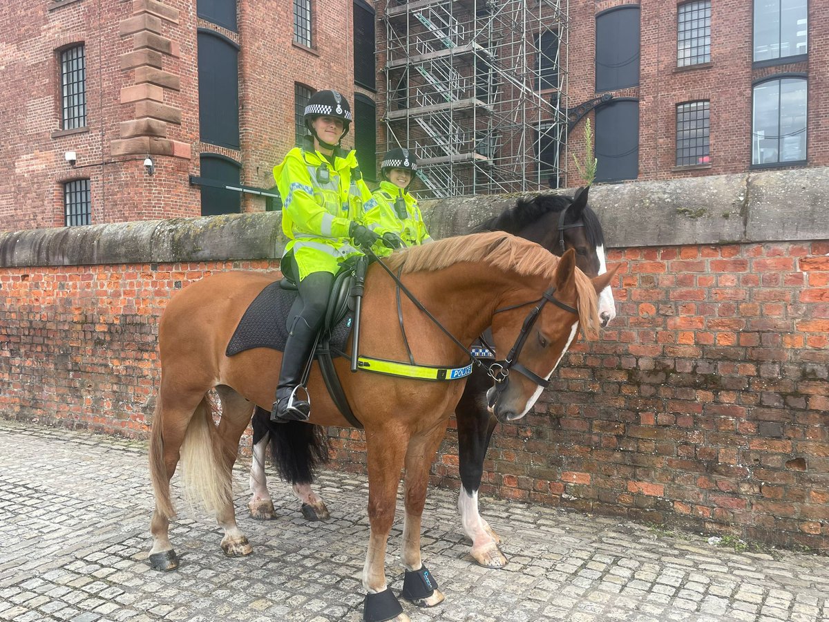 Today Oxberry escorted Carter on his first patrol around Liverpool  City Centre. 
He was really well behaved, extremely brave and loved all the attention he received. 
Well Done Carter! 🧡
#StandTall #PHCarter #PoliceHorseTraining