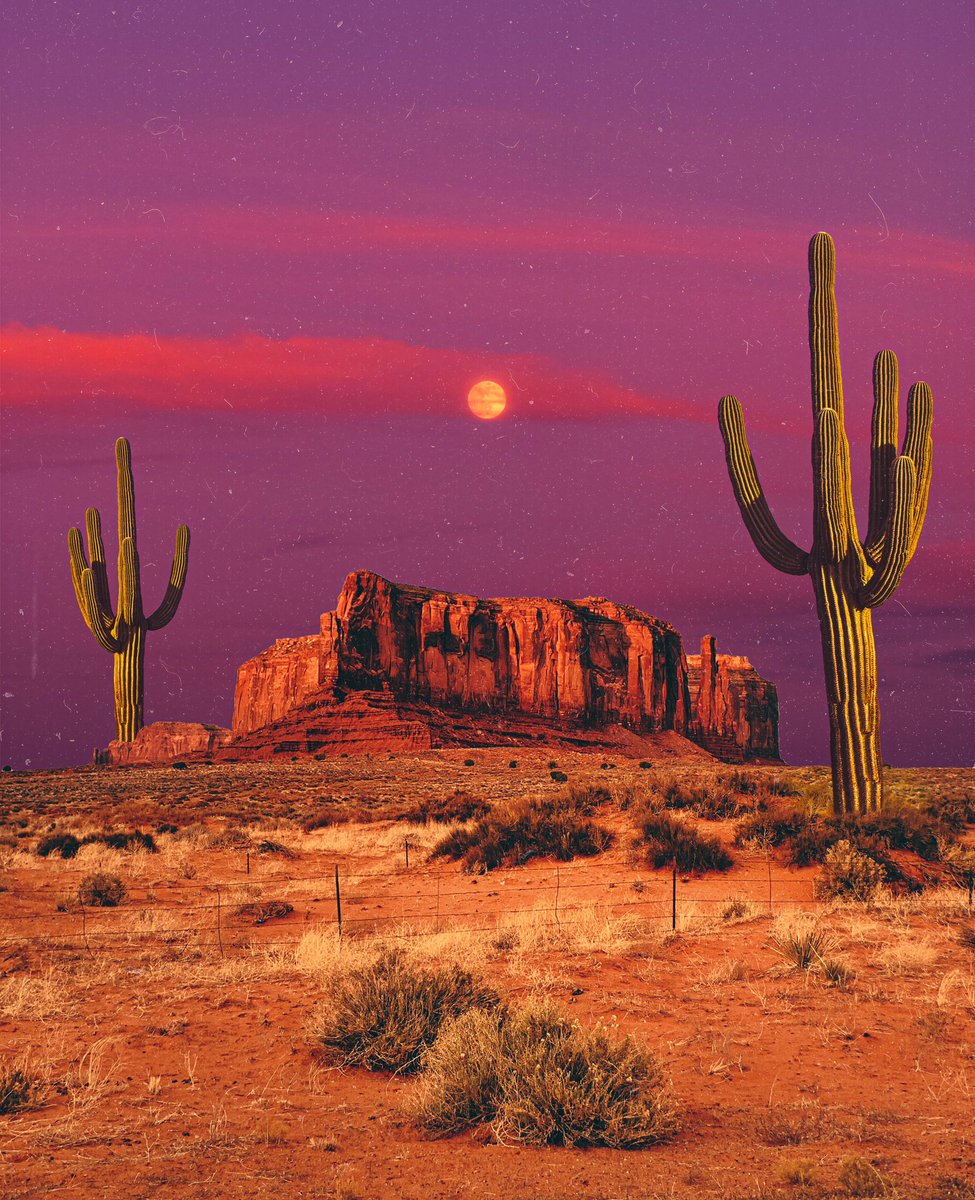 POSTWOOK's tweet photo. my heart lives in the desert https://t.co/KYHbWMPbpG