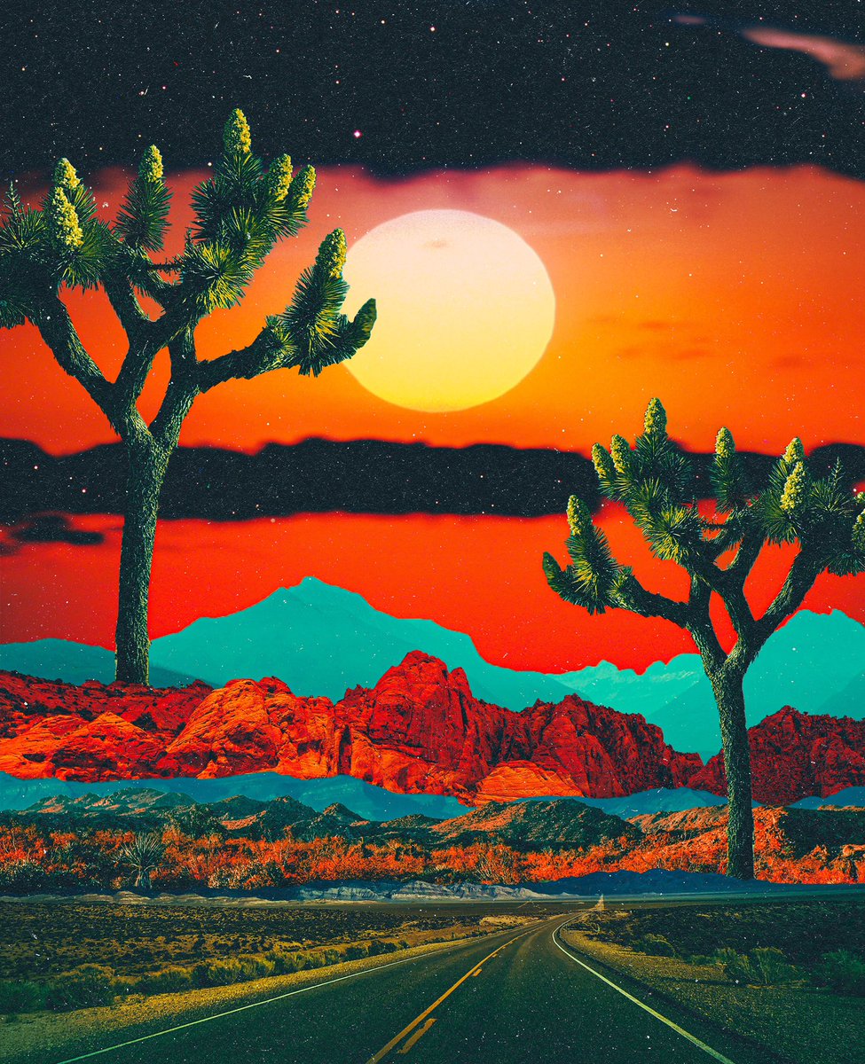 POSTWOOK's tweet photo. my heart lives in the desert https://t.co/KYHbWMPbpG