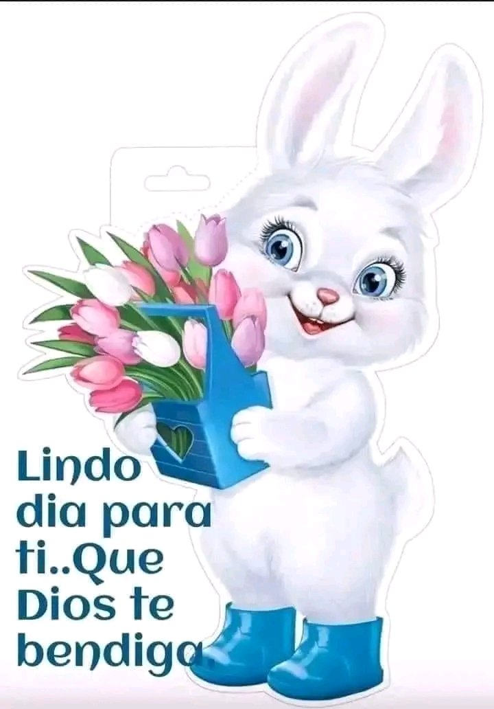 Lupe Monroy (@lupemonroy6) on Twitter photo 