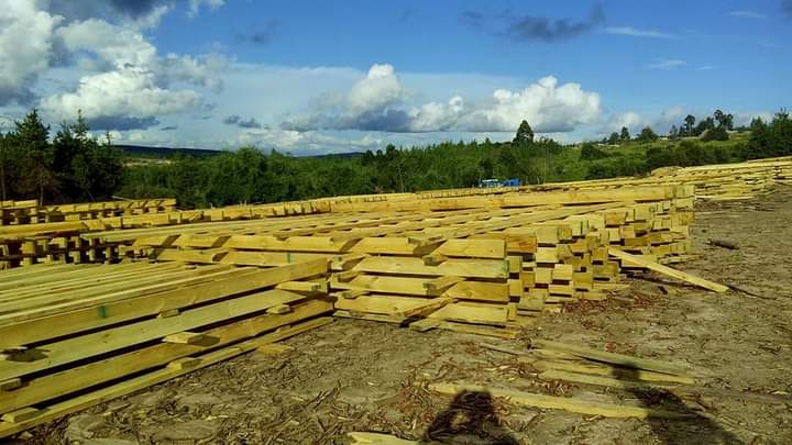 mrmushico's tweet photo. Timber Supplier TREATED π²
πBei kitonga
π Buguruni Dar es salaam
Oder: 0678013639 @Rawi_tz
SIZES
1 by 10 tsh 16,000 ft 12
1 by 8 tsh 11,000 ft 12
2 by 4 tsh 55,500 ft 12
2 by 2 tsh 3,000 ft 12
#roofingsupplier #mabati #rawitz #buildmaterials #tanzania #investment https://t.co/j75Ihk7XCr