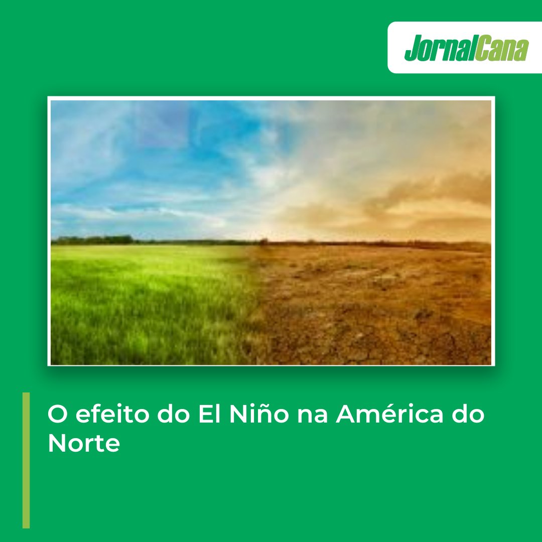 O efeito do El Niño na América do Norte

👉 mla.bs/f837d1fa

#ElNiño #america #jornalcana #cananews #noticiadodia #canadeacucar #procana