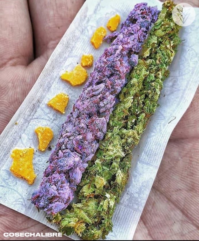 Bom dia familiaaaa 🔥💨