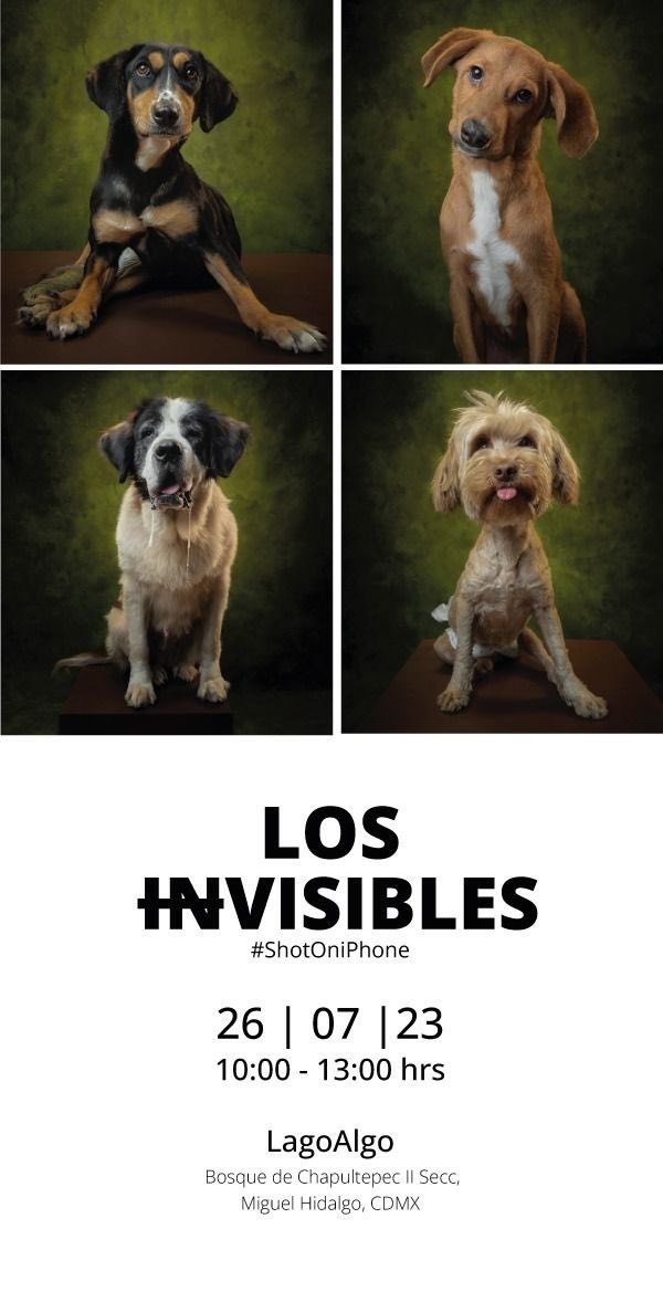 A partir de ayer #shotoniphone Los Invisibles @AmorSinRaza en #LagoAlgo #BosquedeChapultepec ❤️